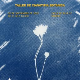 taller Cianotipia Botánica