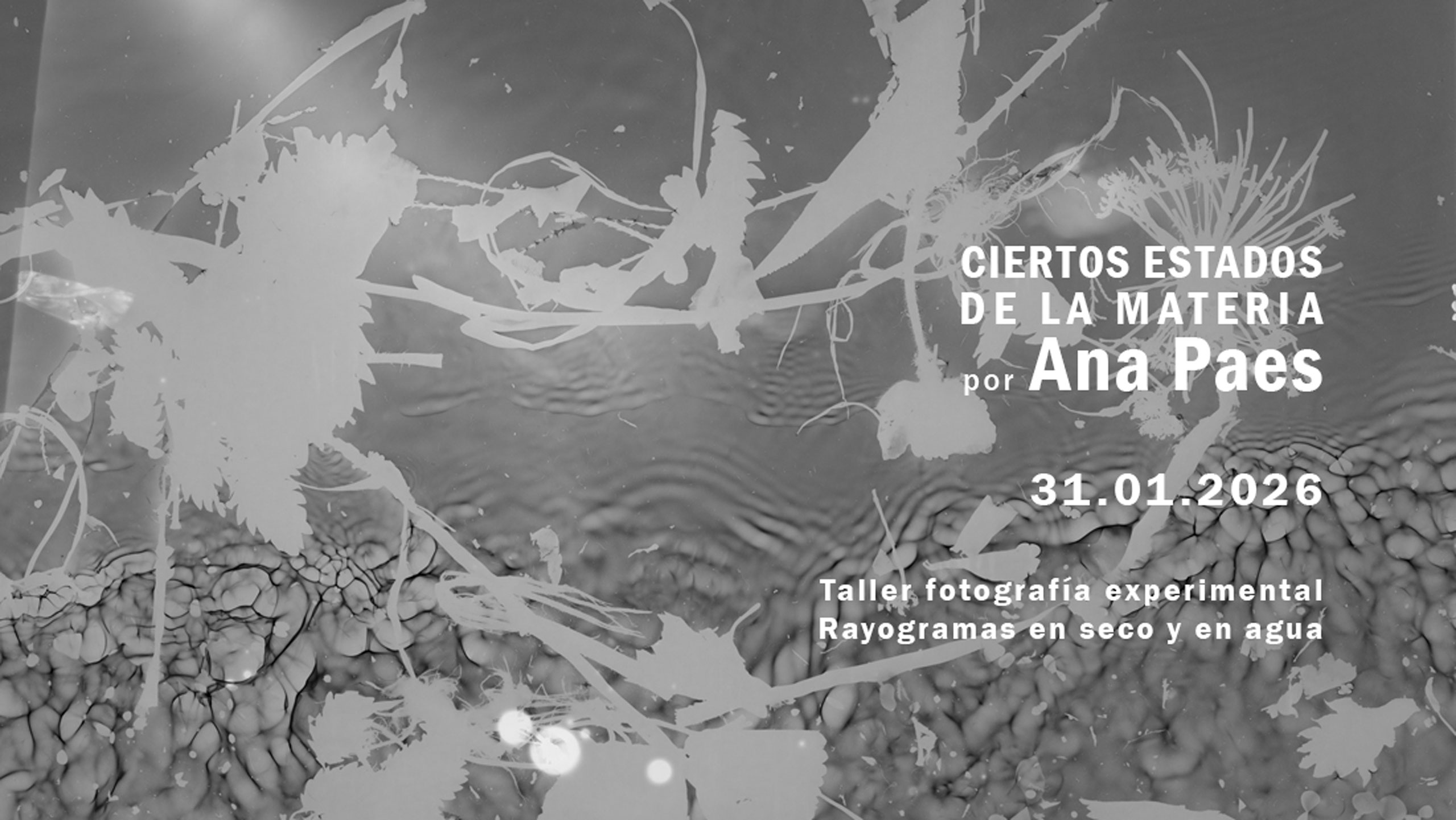 Fotografia-experimental-Taller-radiogramas