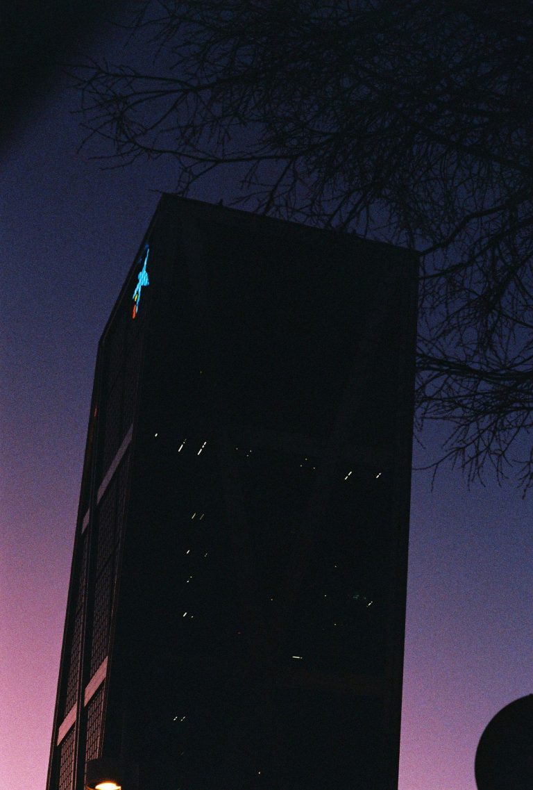 fotografia analogica un carrete un lugar de @35gatos