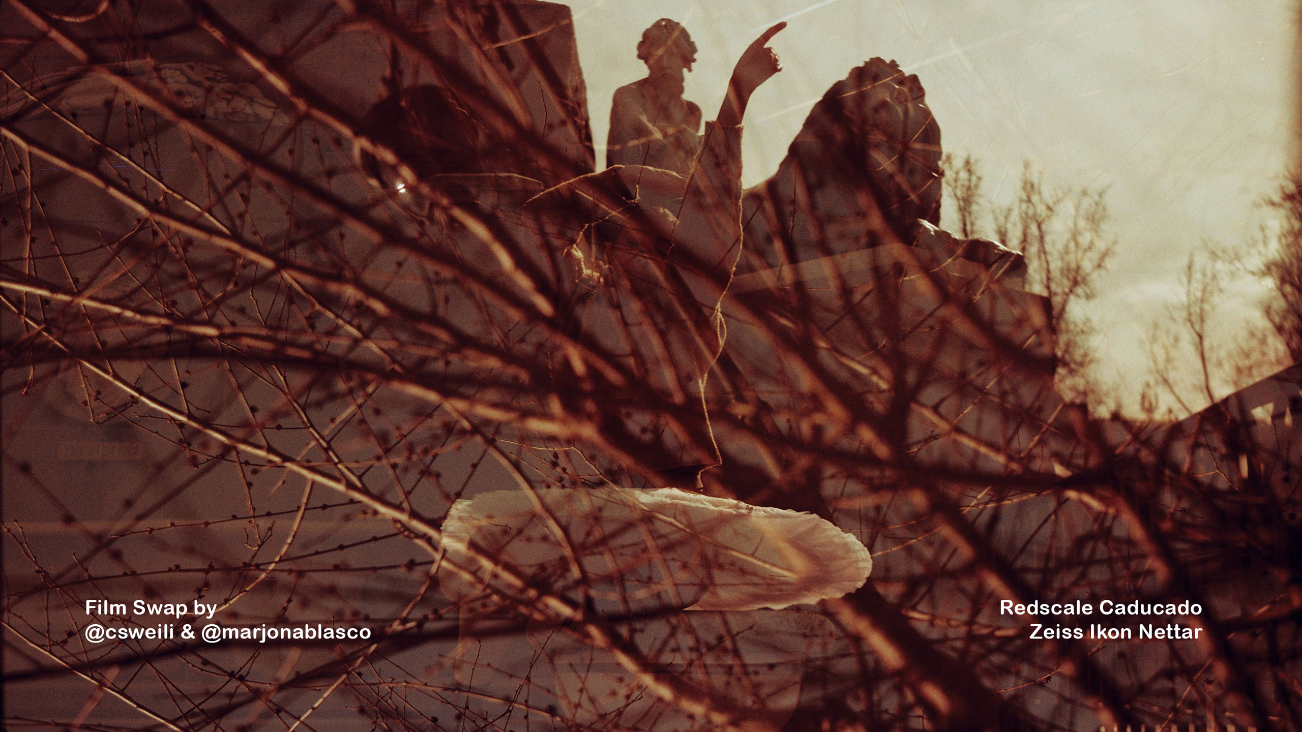 Filmswap-Redscale-496502