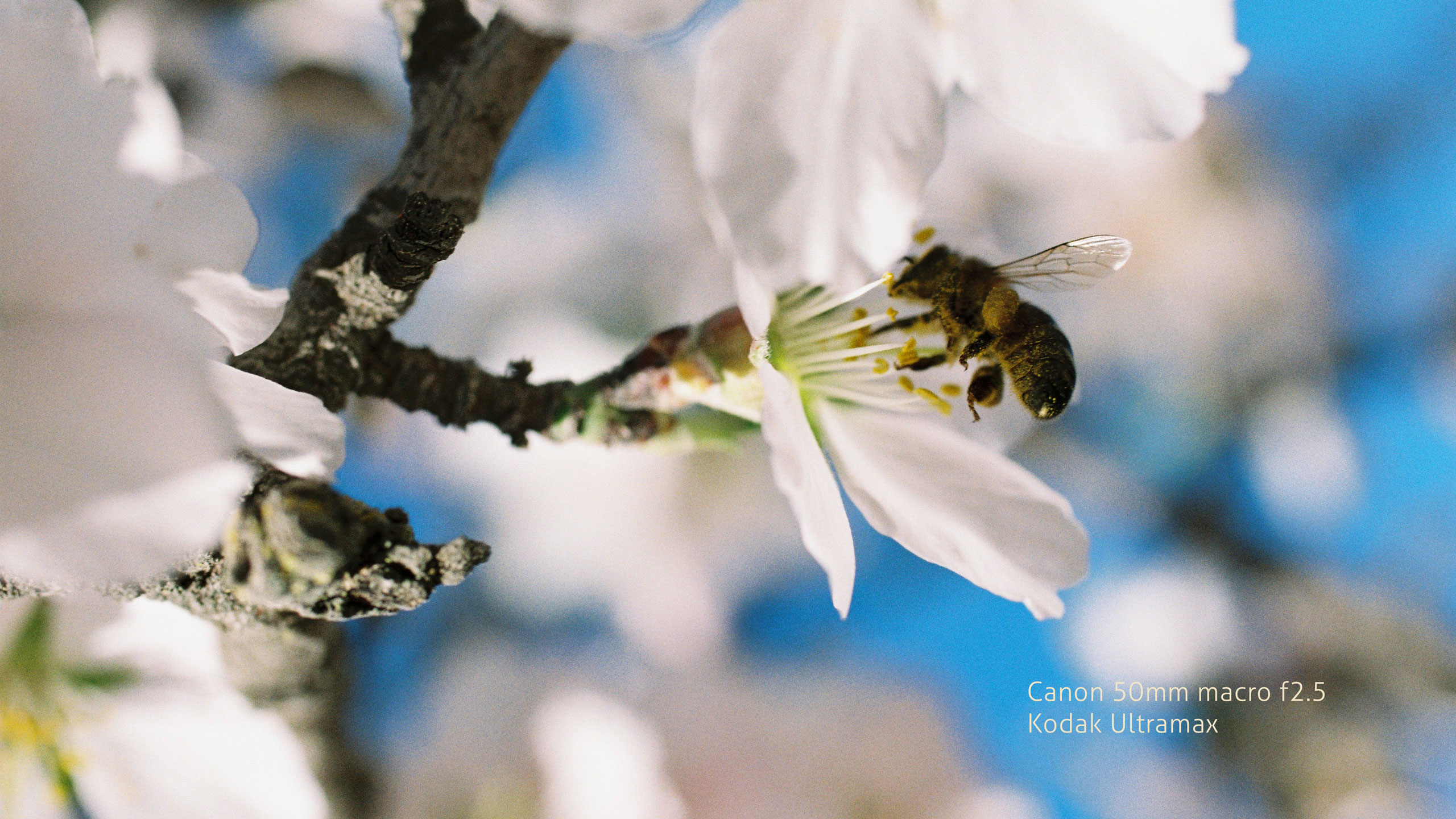CUARTO-COLOR-LAB-banner-abril26