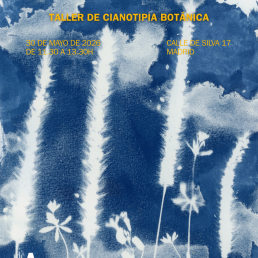 Taller de Cianotipia 30 de mayo