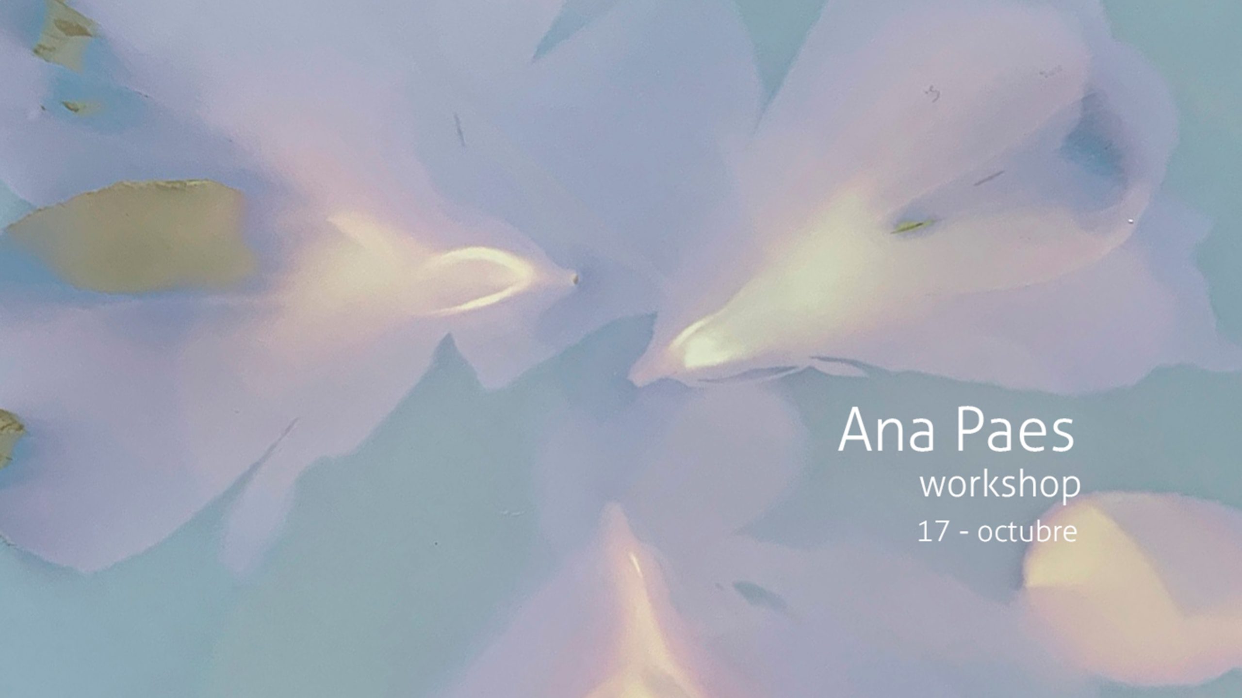 ana paes lumens workshop